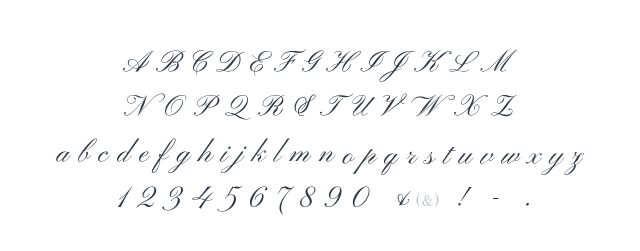 名入れの書体について